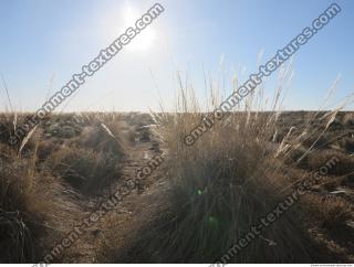 photo texture of background nature 0090